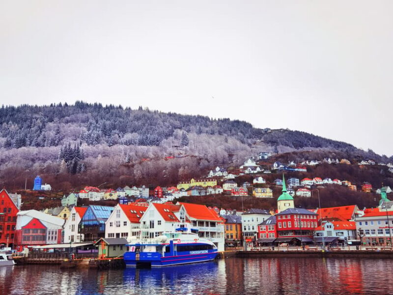 Flåm Flexible Tour with Stegastein, cruise and train include - Why You’ll Love This Tour