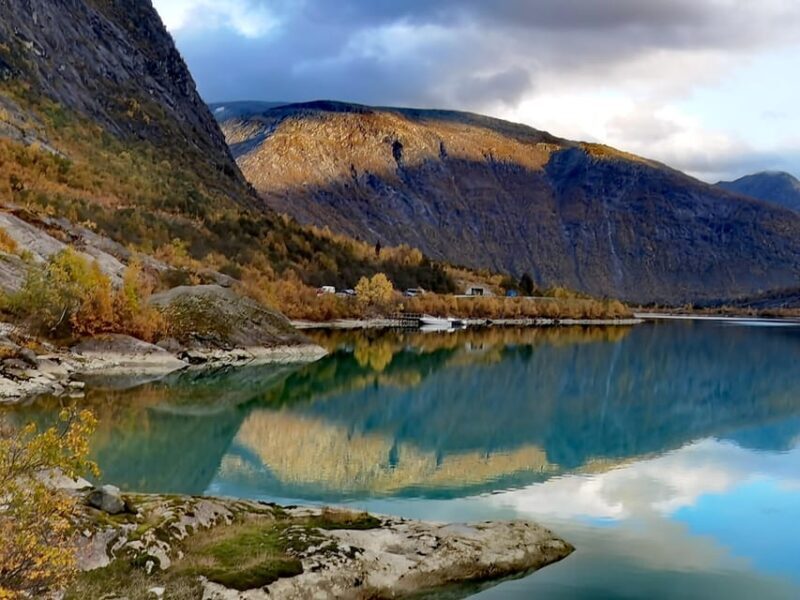 Flåm Flexible Tour with Stegastein, cruise and train include - Transport and Logistics