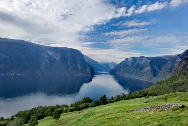 Flåm Flexible Tour with Stegastein, cruise and train include - The Experience and the Guide