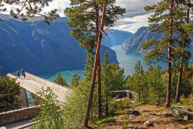 Flam: The Spectacular Stegastein Viewpoint Tour (Small Group) - Who Should Book This Tour?