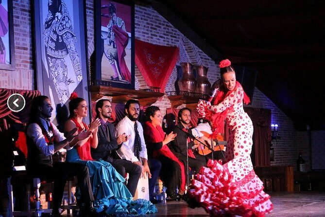 Flamenco night Show and Dinner in Madrid - Who Is This Experience Best For?