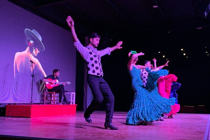 Flamenco Show at the Coliseo theater in San Miguel - Who Is This Tour Perfect For?