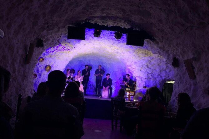 Flamenco Show in a Cave Restaurant in Granada - Review Highlights & Common Criticisms