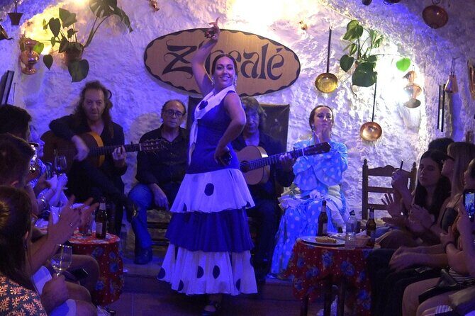Flamenco Show in Cueva Zincalé - Key Points