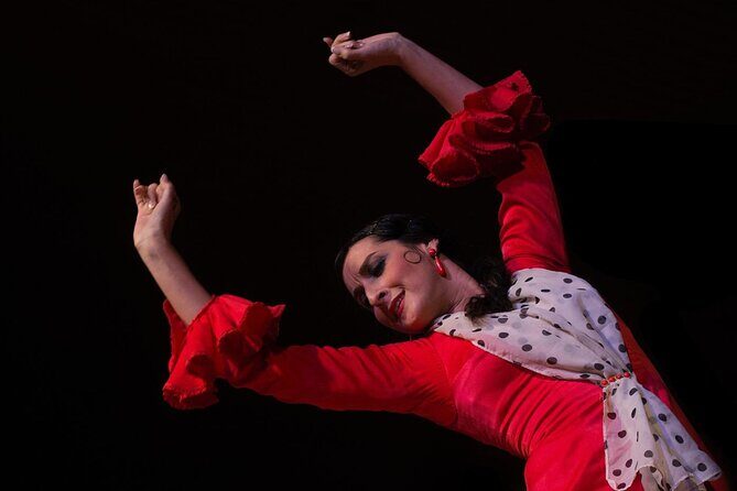 Flamenco Show in Cueva Zincalé - FAQ