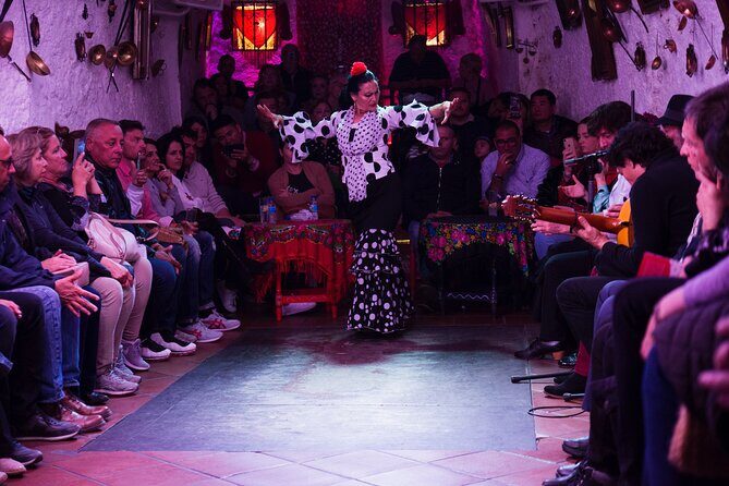 Flamenco Show in the Caves of Sacromonte - Who Is This Tour Best Suited For?