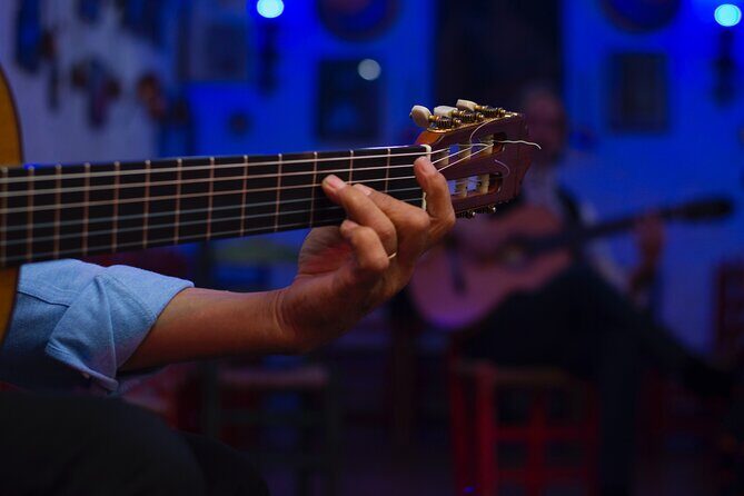 Flamenco Show in the Caves of Sacromonte - Final Thoughts