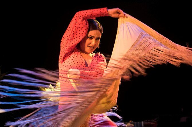 Flamenco Show Ticket at Theatre Barcelona City Hall - What the Reviews Say