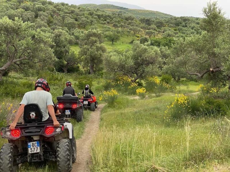 Flamingo ATV tour in Vlora - What the Tour Entails: An Inside Look