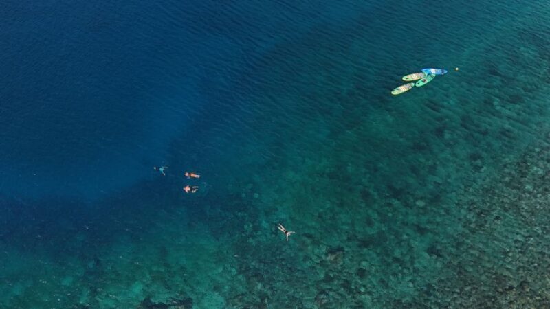 Flamingo Beach: Guided SUP and Snorkeling experience - Who Will Love This Tour?