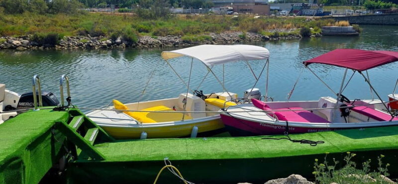 Flaming'O boat rental without a license in Carnon Palavas Montpellier - FAQ