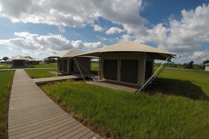 Flamingo Everglades Boat Tours - An In-Depth Look at Flamingo Everglades Boat Tours