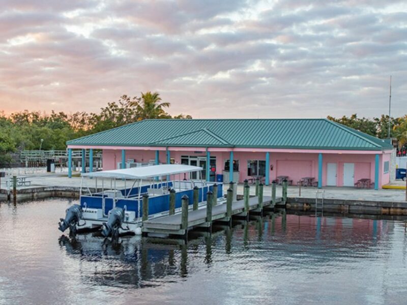 Flamingo Marina: Backcountry Boat Tour of the Everglades - Key Points