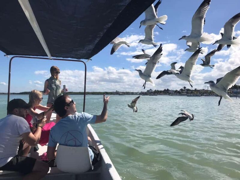 flamingo tour in Rio Lagartos, Yucatan 3 hours - An In-Depth Look at the Flamingo Tour