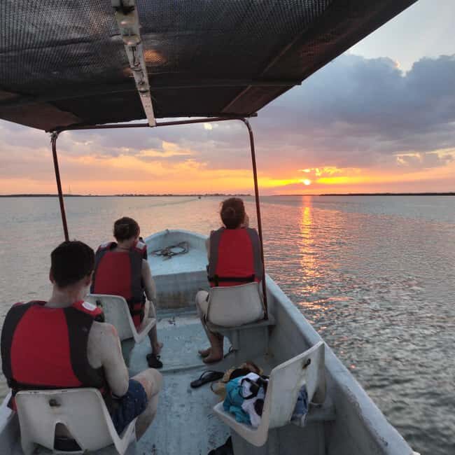 Flamingo tour Rio Lagartos, Yucatan 2 hours - Real Feedback from Travelers