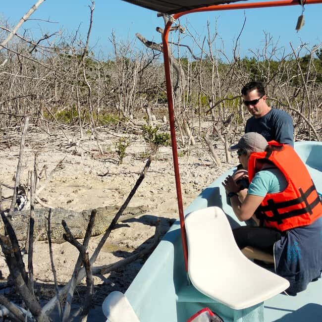 Flamingo tour Rio Lagartos, Yucatan 2 hours - Final Thoughts