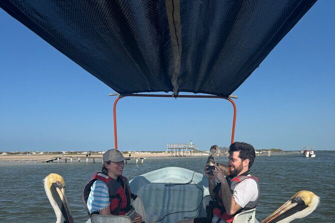 Flamingos Tour in Rio Lagartos Yucatan 2 hours - A Closer Look at the Rio Lagartos Flamingos Tour