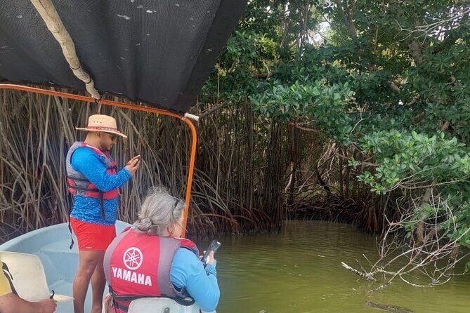 Flamingos Tour in Rio Lagartos Yucatan 2 hours - Final Thoughts