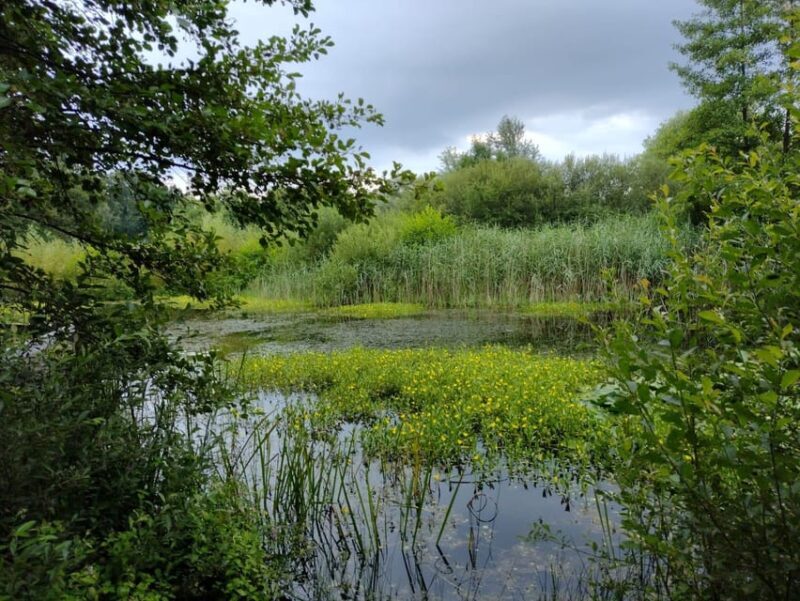 Flanders Day Tour with Turnhout, Hoogstraten & Kasterlee - An Honest Breakdown of the Tour Experience