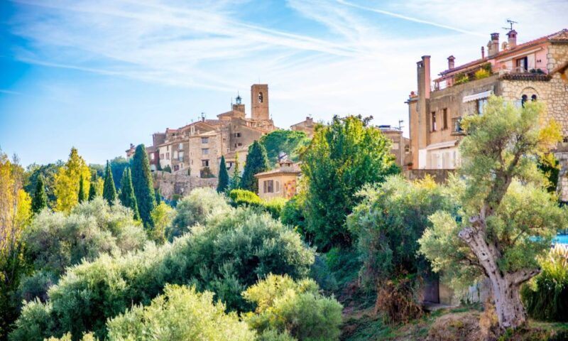 Flavor & Taste of Provence - Is It Worth the Price?