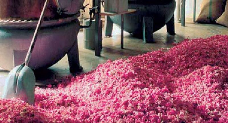 Flavor & Taste of Provence - FAQ