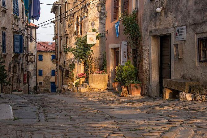 Flavours of Istria Tasting Experience from Trieste - Key Points