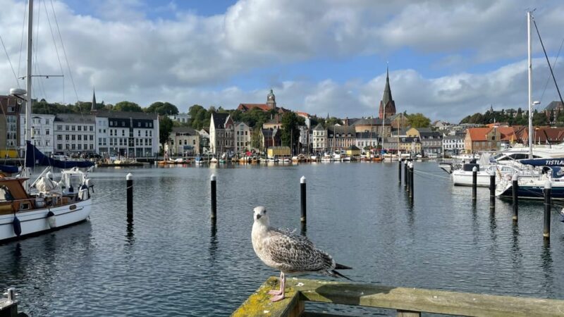 Flensburg: Running tour with insider tip guarantee - Who Should Consider This Tour?