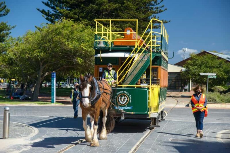 Fleurieu Peninsula: A Memorable Journey - Practical Details and Tips