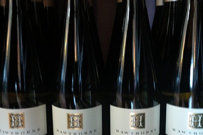 FLEXIBLE Go where you want NON-BUS Old Mission Wine Tour - A Detailed Look at the Experience