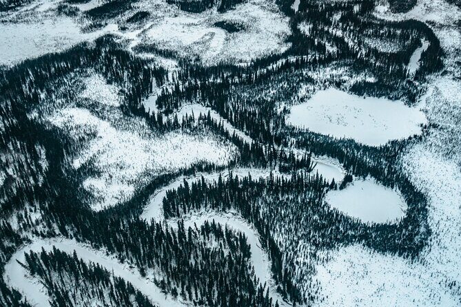 Flightseeing Day Trip from Fairbanks with Lunch - FAQs