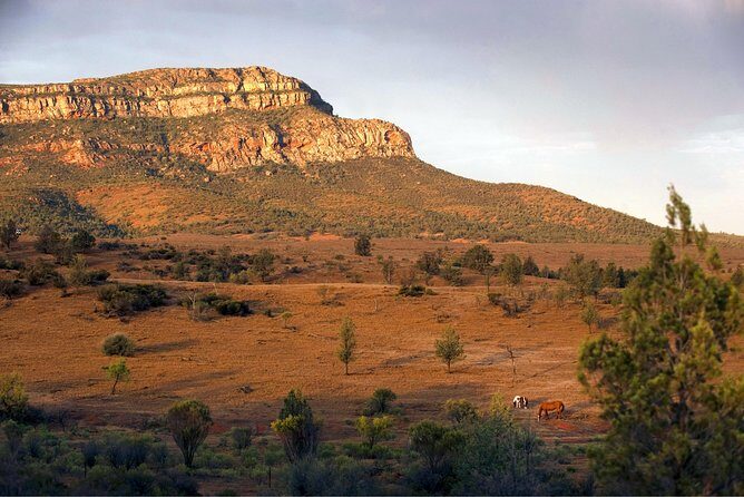 Flinders Ranges 3-Day Small Group 4WD Eco Tour from Adelaide - Who Is This Tour Best For?