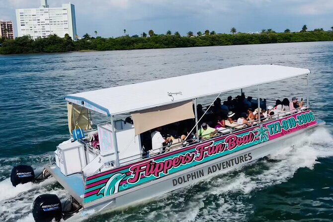 !! Flippers Fun Boat !! Dolphin Adventure Clearwater Beach! - What to Expect on the Tour