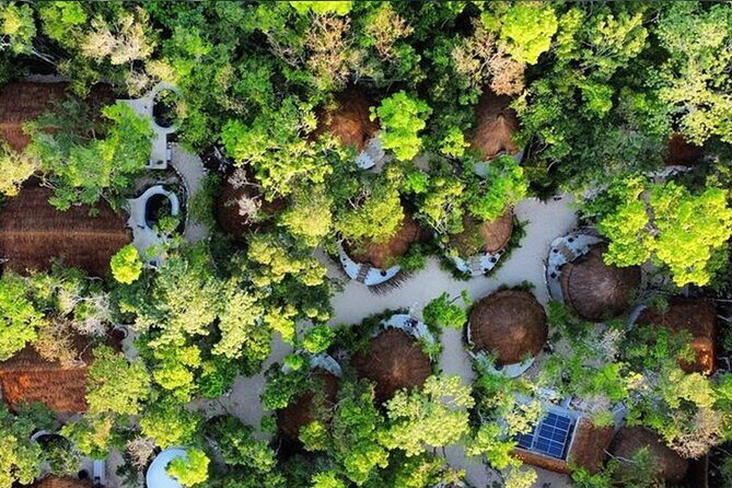 Floating breakfast in The Yellow Nest (near Dos Ojos cenote) - The Downsides