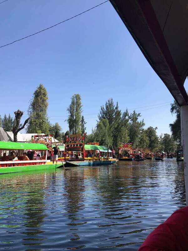 "Floating Party in Xochimilco: Canals, Tequila, and Tradition" - What to Expect from the Tour