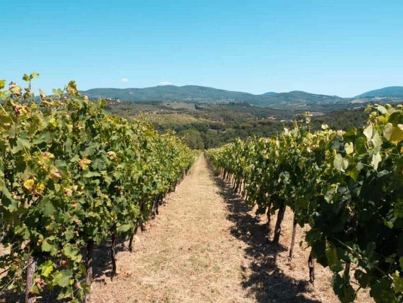 Florence: 9 Holes Golf in Chianti and Wine Tasting - The Experience Provider and Reviews