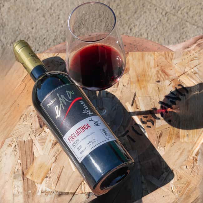 Florence: 9 Holes Golf in Chianti and Wine Tasting - Who Should Consider This Tour?