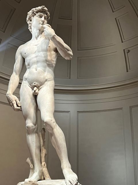 Florence: Accademia Gallery Guided Tour and Priority Entry - Pricing and Value