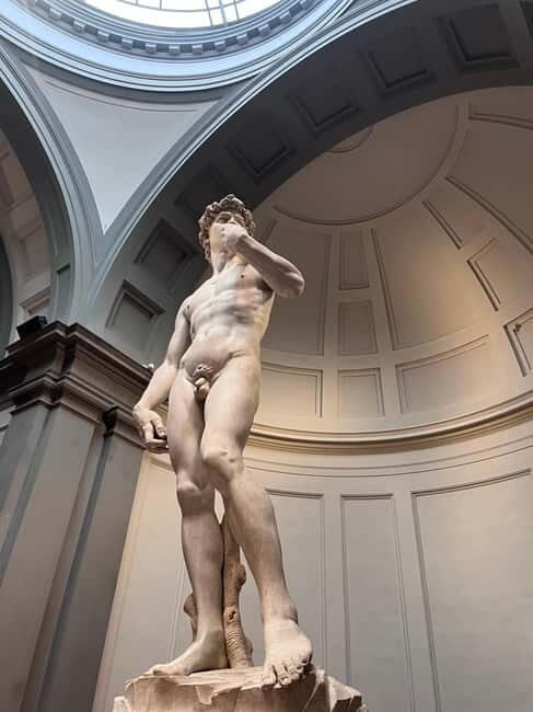 Florence: Accademia Gallery & Michelangelo's David Ticket - Florence: Accademia Gallery & Michelangelos David Ticket – A Close-Up Look