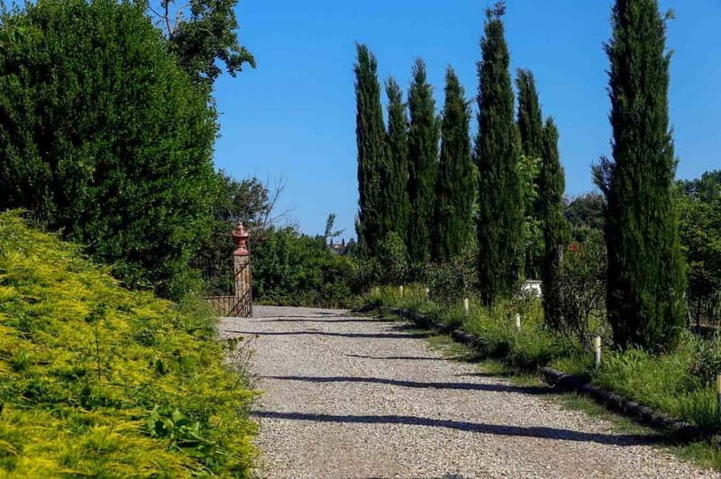 Florence by E-Bike: Hidden Hills & Local Thrills - What’s This Tour All About?