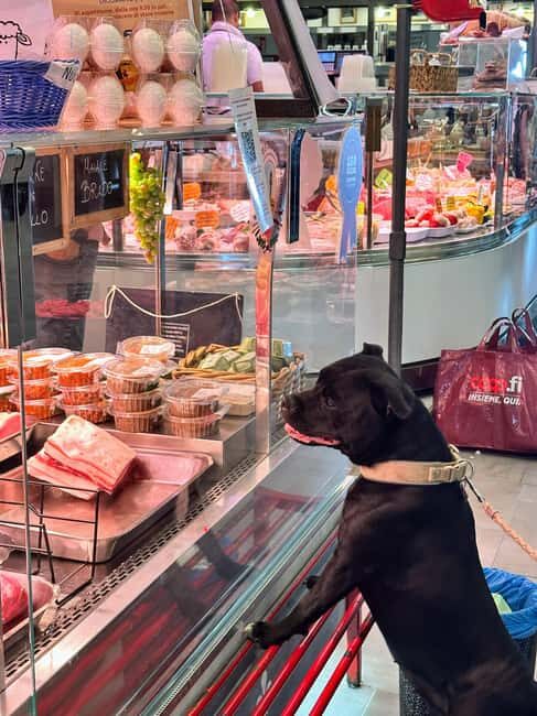 Florence: Cheese and Wine Tasting in Local Market - Who Should Consider This Experience?