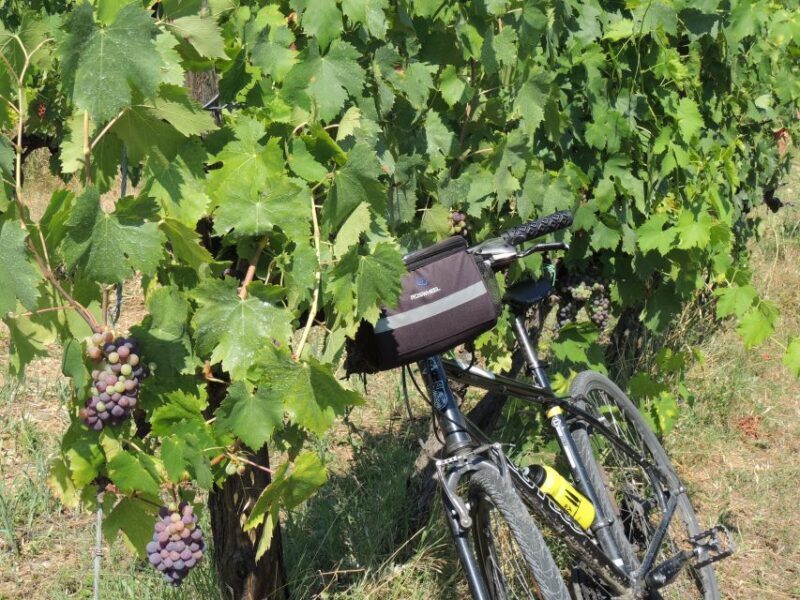 Florence: Chianti Hills Bike Tour with Farm Lunch & Wine - FAQs