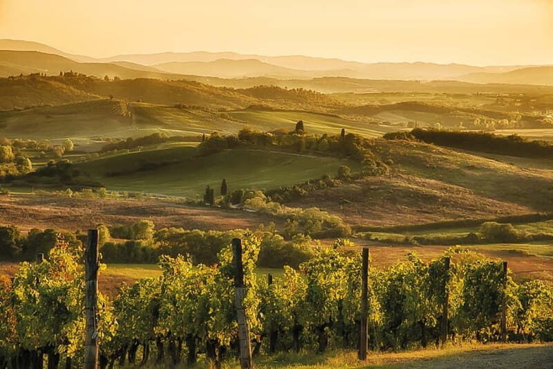 Florence: Chianti Vineyards Tour with Wine Tasting & Dinner - The Sum Up