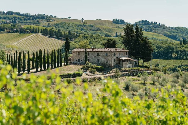 Florence: Chianti Wineries Tour with Wine Tasting - The Experience in Detail