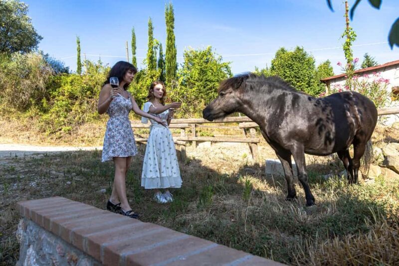 Florence: Cooking Class on a Traditional Tuscan Farm - Getting a Feel for the Experience