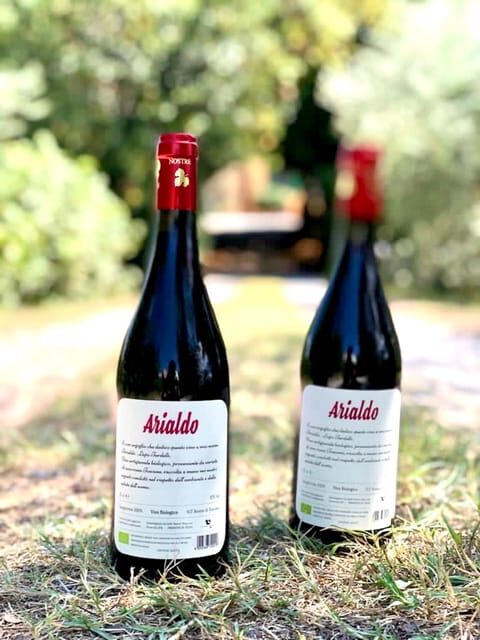 Florence: Countryside Tour with Wine Tasting & Pasta Class - Key Points