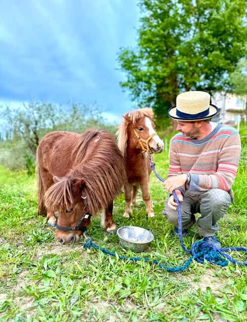Florence: Countryside Tour with Wine Tasting & Pasta Class - Exploring the Day in Detail