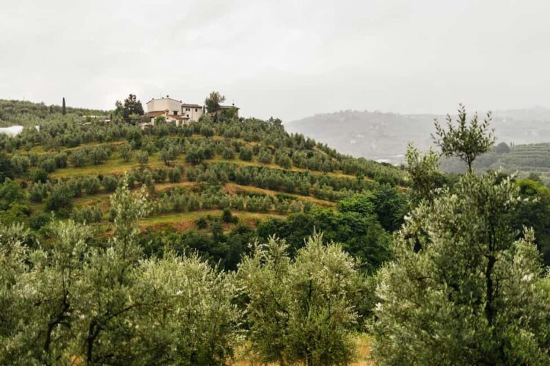 Florence: Countryside Vintage Fiat 500 Driving Tour - How Well Is It Organized?