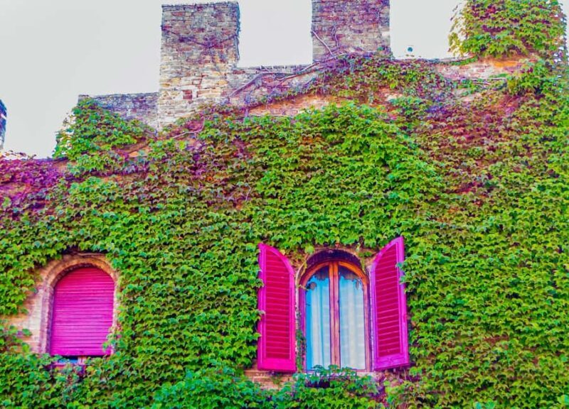 Florence Day Trip: Chianti Tour & Cooking Class - Exploring the Itinerary in Detail