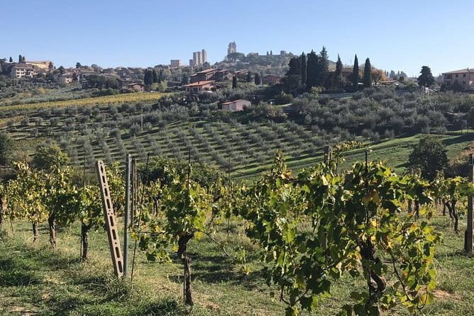 Florence Day Trip to Volterra and San Gimignano - Discovering the Charm of Volterra
