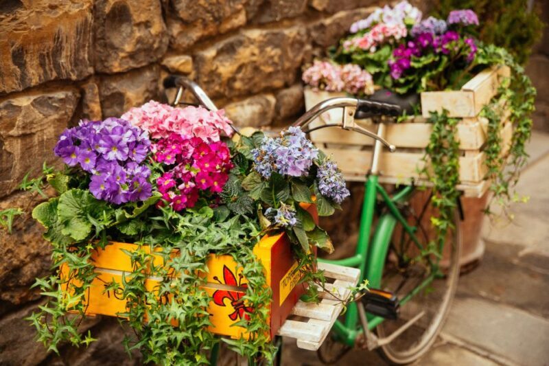 Florence: Family-Friendly Private Tour - Who Will Love This Tour?